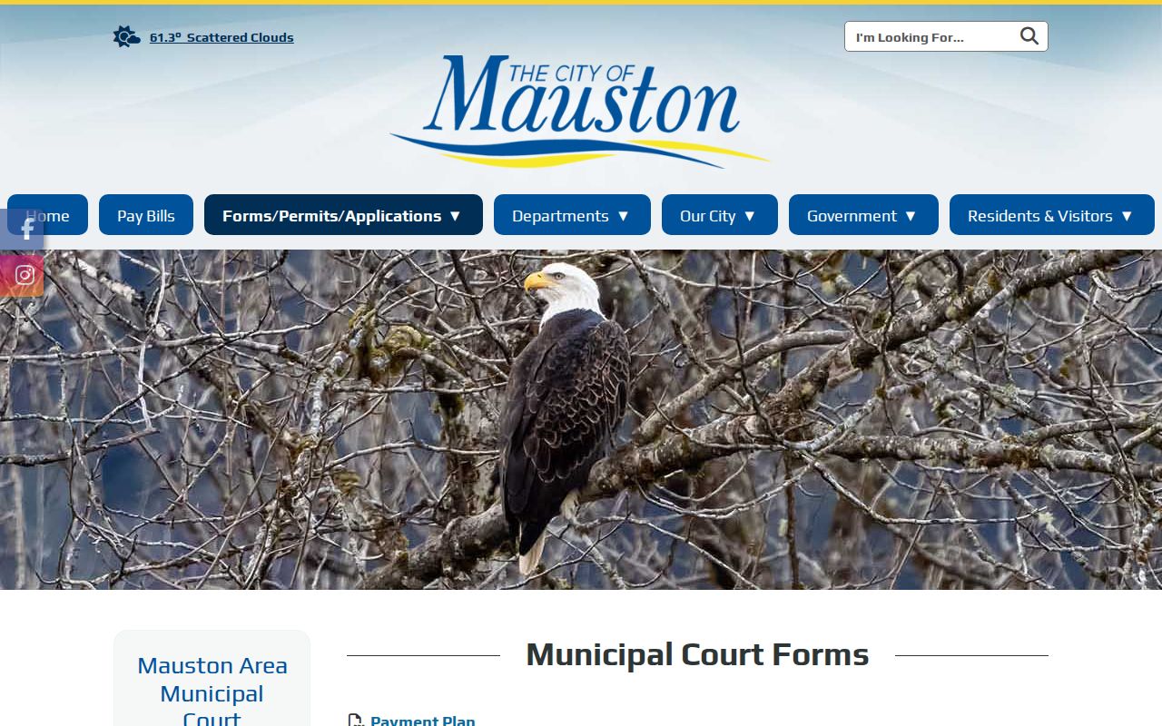 Mauston court docket forms on the municipal court website